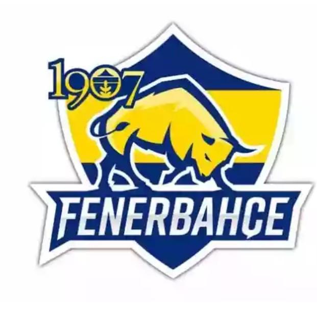 Fenerbahçe Esports