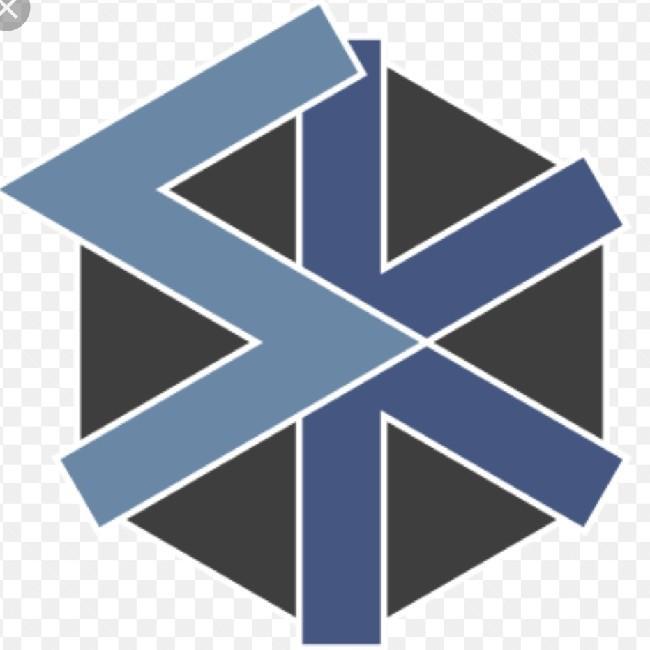 SK Team