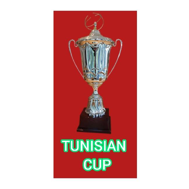 Tunisian Cup 2034-2035