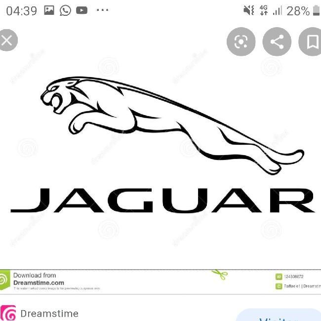 Redbull Jaguar Motorsport Team