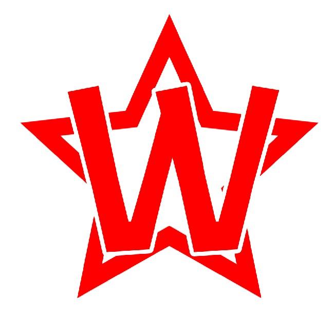(2020) West All-Stars