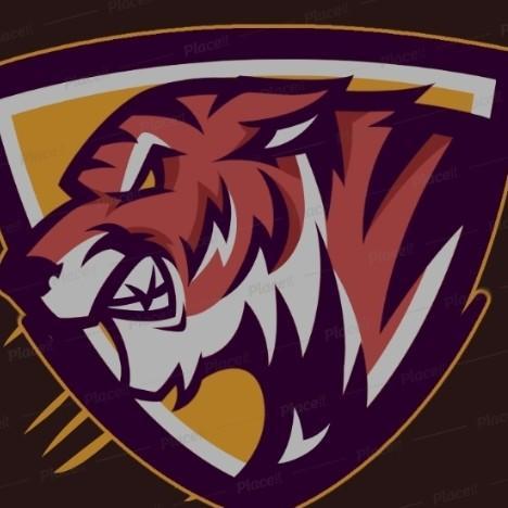 Hamilton Tigers
