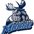Winnipeg Moose