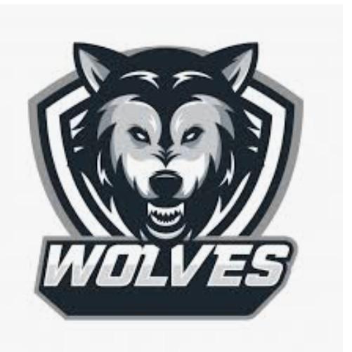 Minnesota Wolves