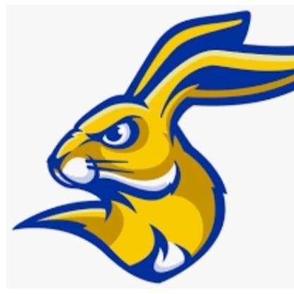 Las Vegas Rabbits