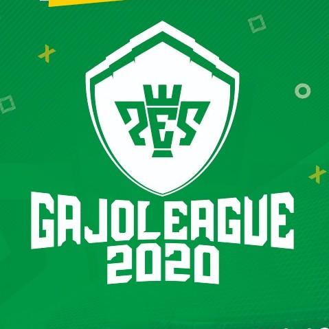 Gajoleague 2020 Playoff