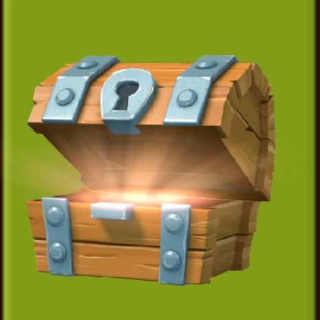 Chest