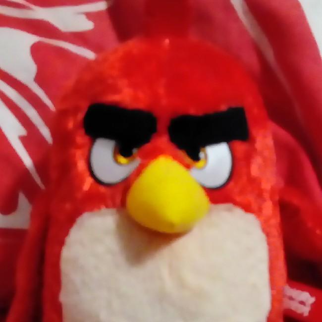 Ruďák