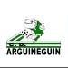Arguineguin