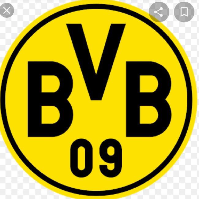BVB Dortmund