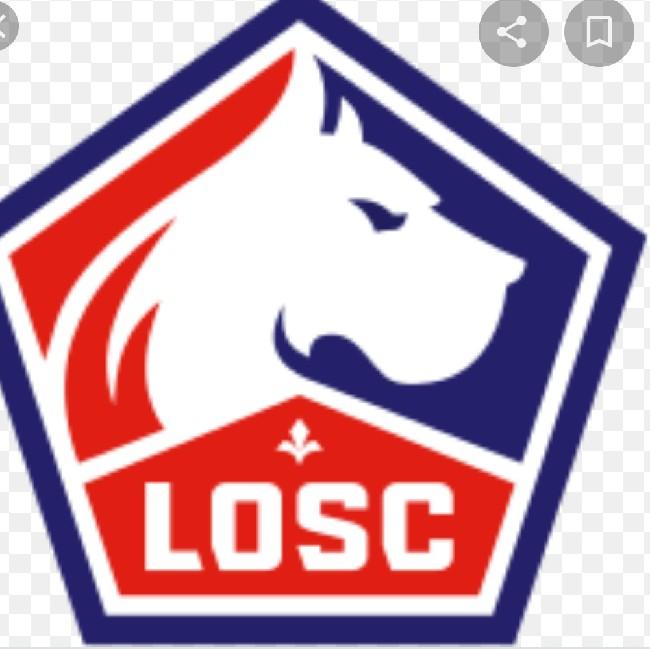 Losc Lille