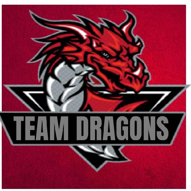 ©TEAM DRAGONS©