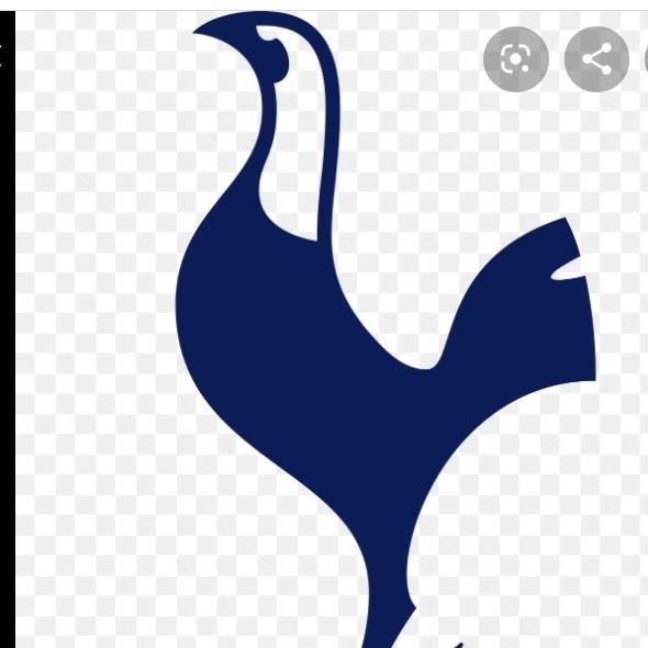 Tottenham Hotspur