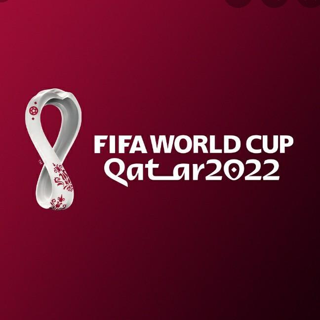 Fifa world  cup