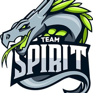 Team Spirit