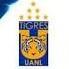 Tigres