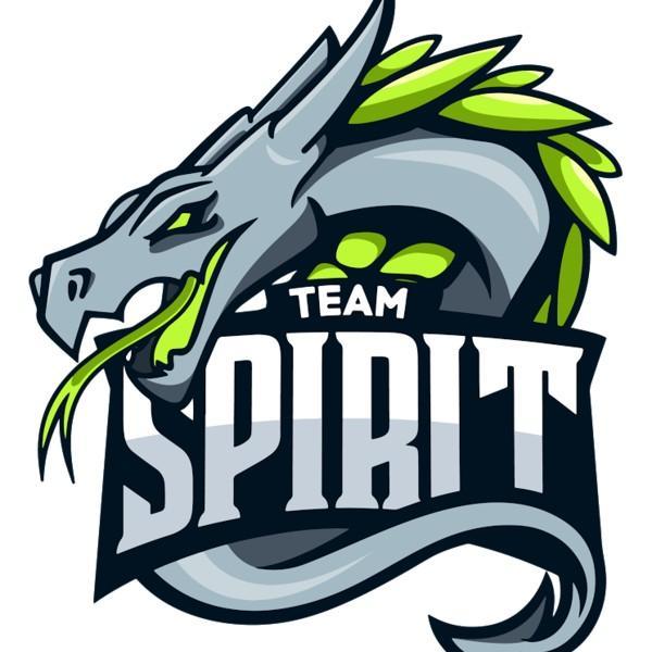 Team Spirit