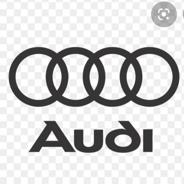 Audi Sport Team