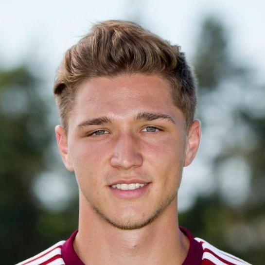 Niklas Stark