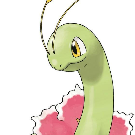 Meganium