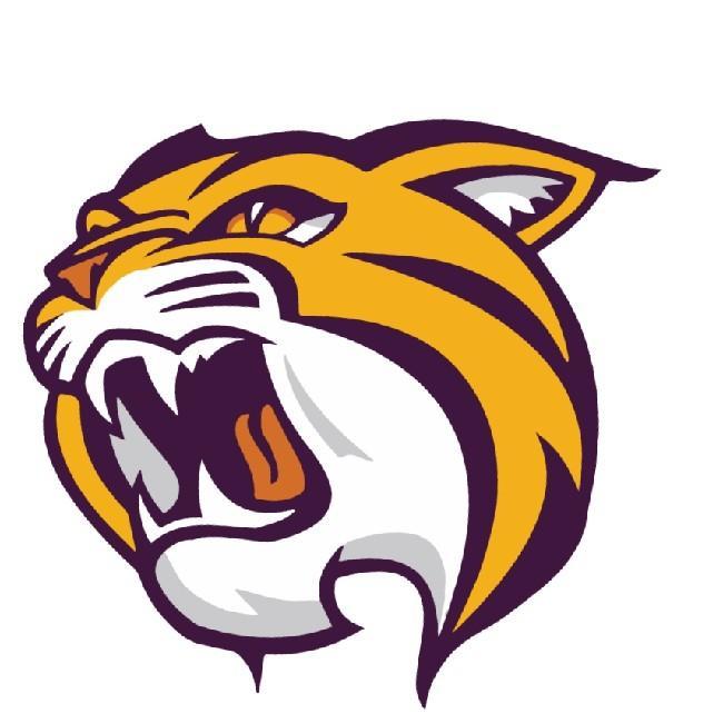 Washington Wildcats