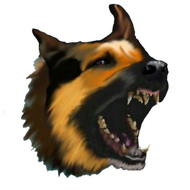 Kentucky K-9's