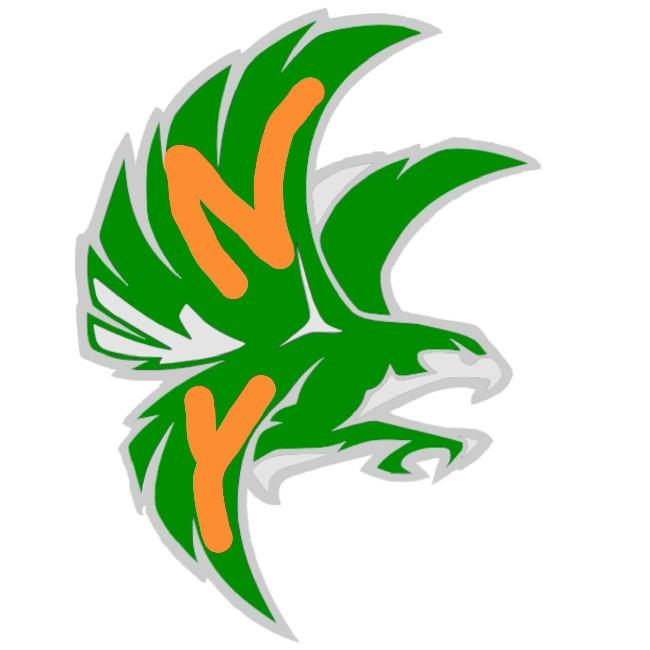 New York Falcons