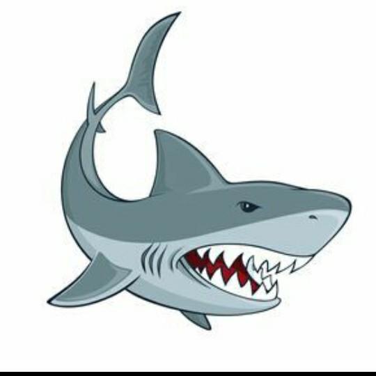 Boston Sharks