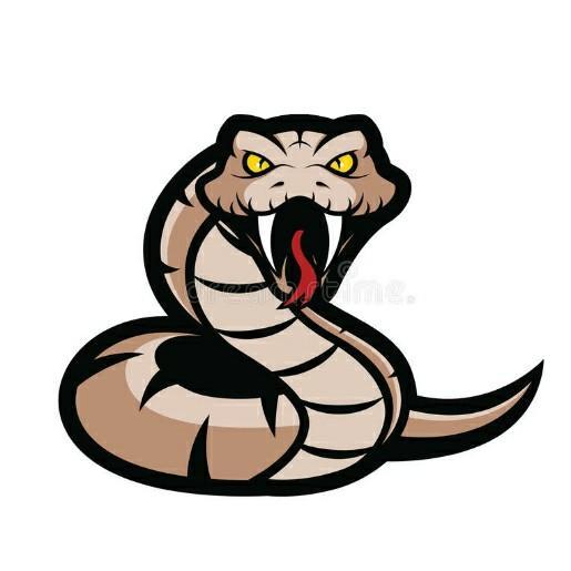 Atlanta Vipers
