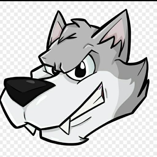 Cincinnati Wolves