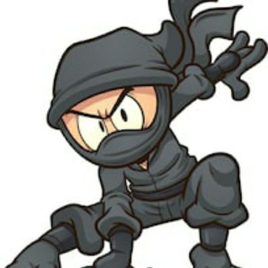 Carolina Ninjas