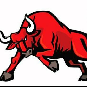 Los Angeles Bulls