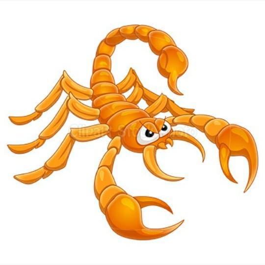 Seattle Scorpions