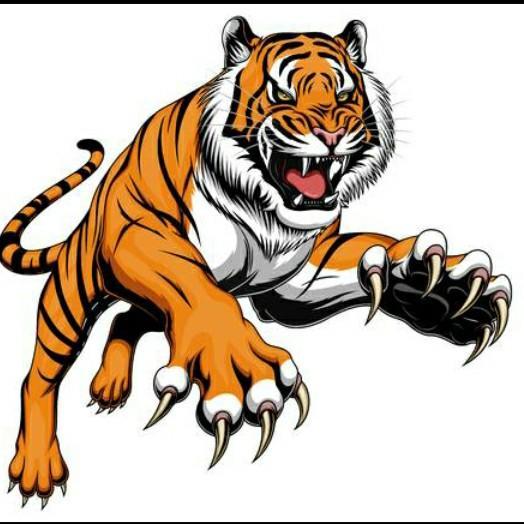 Washington Tigers