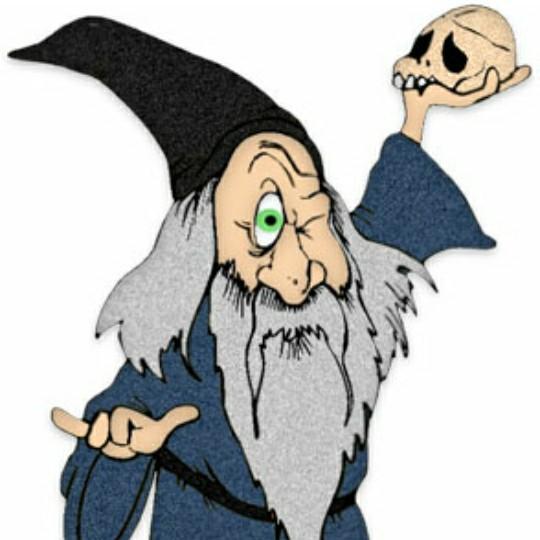 St. Louis Wizards