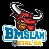 BM Slam Stal Ostrów Wielkopolski
