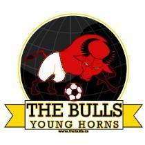 The Bulls Young Horn's
