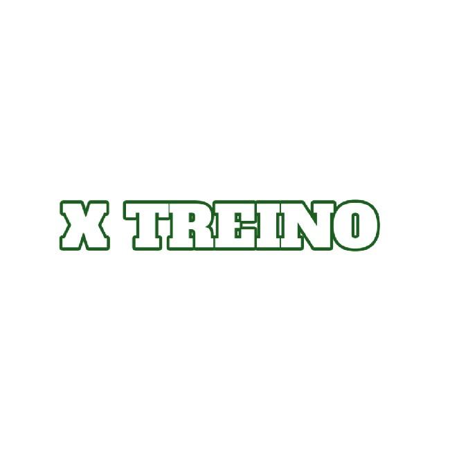 X TREINO PROFISSIONAL