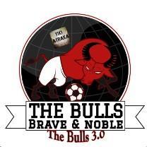 The Bulls 3.0
