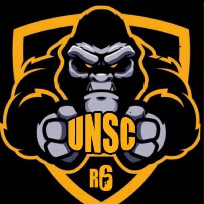 UNSC