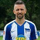 Vedad Ibisevic
