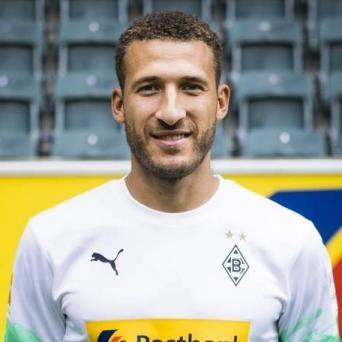 Fabian Johnson