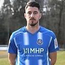 Nikola Trkulja