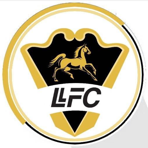 Llaneros Fc