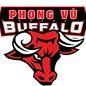 PHong vu Buffelo