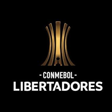 COPA BRIDGESTONE LIBERTADORES