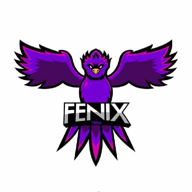 FÊNIX TEAM