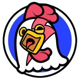 Flash Chick
