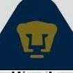 Pumas
