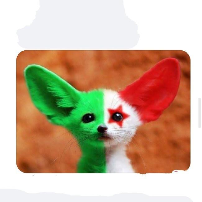 الافناك
